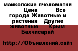  майкопские пчеломатки F-1  › Цена ­ 800 - Все города Животные и растения » Другие животные   . Крым,Бахчисарай